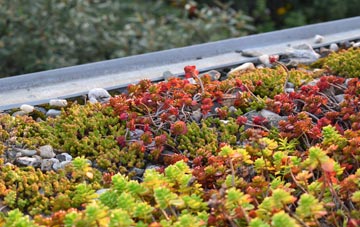 the cost of Nether Haugh green roof installation
