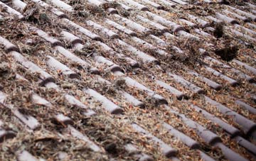 Nether Haugh roof cleaning companies